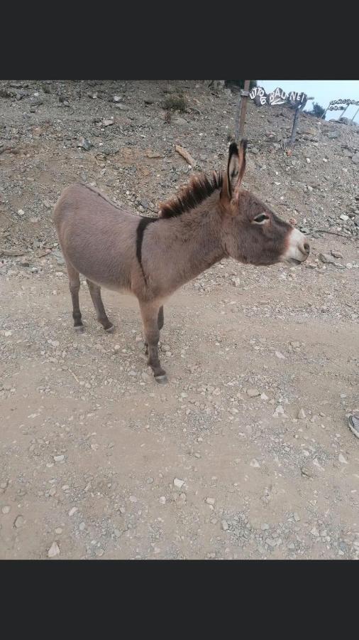 Tuffarsi Nel Paradiso Villasimius Dış mekan fotoğraf